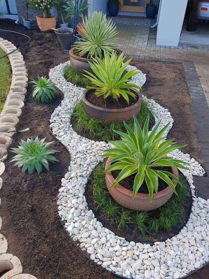 garden with stones and plants (19)