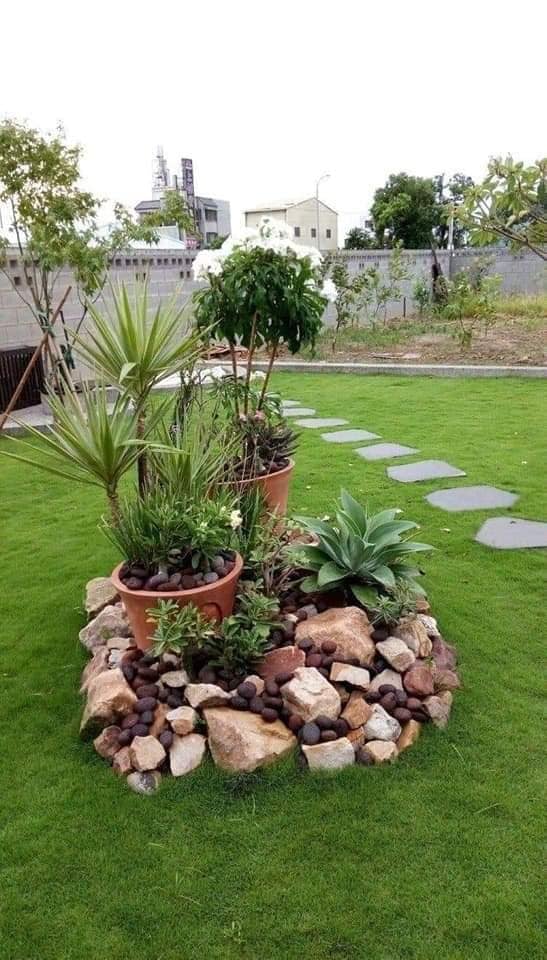 garden with stones and plants (20)