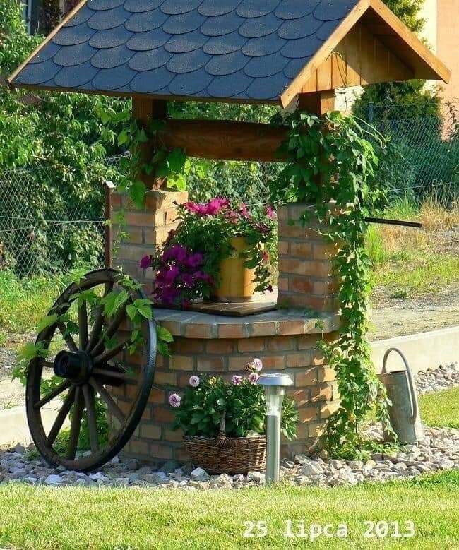 garden with stones and plants (3)