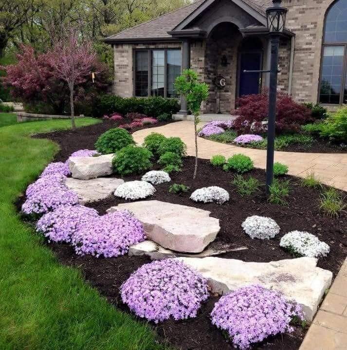 garden with stones and plants (4)