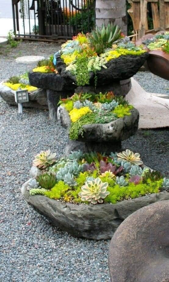 garden with stones and plants (6)