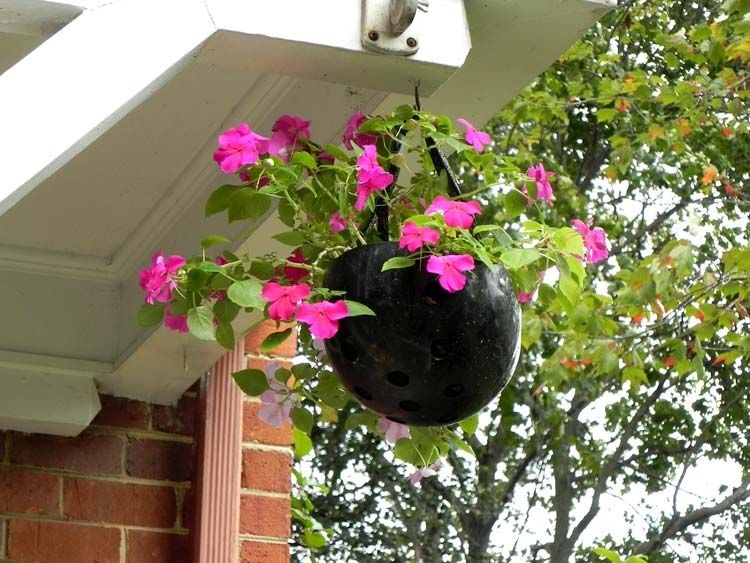 motorbike planters (1)